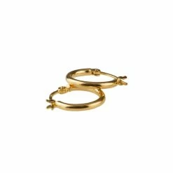 Pico Basic Small Hoops Øreringe, Guld
