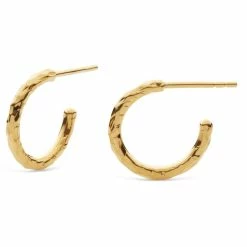 Maanesten Ina Øreringe, Guld