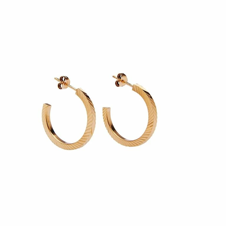 Pico River Øreringe