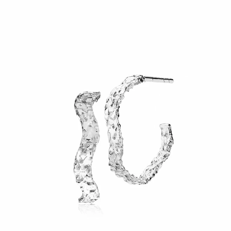 Sistie Sara Høydahl Creoler, Sølv